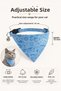 5 Piece Cat Accessory Set |   Chest Harness & Scarf & Feather Brush & Toys - 5
