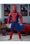Muscular Superhero Costume - 4