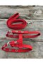 Escape-Proof, Bird-Eye-Proof, Durable, Adjustable, Cat Mini Breed Dog Harness Set Cat Harness, Cat Walking Leash, Cat Waist Leash, Cat Leash and Harness - 4