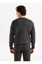 Anthracite Men's Crew Neck Standard Sweatshirt Ace049261524_Atg - 5