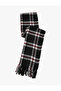 Plaid Scarf Tassel Detailed Soft Textured
