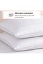 Pure Luxe Actifresh Pillow 50x75cm -white - 5
