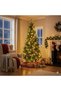 180 cm Christmas Lighted Pine Tree 672 Branches - 2