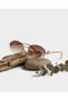 Arya Gold Metal Oval Frameless Gold Women's Sunglasses with Brown Gold Accessories Uv400 Protection - 5