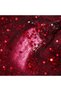 Oja semipermanenta Ruby Collection Passion - 2