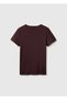Women's Brown 100% Cotton Crew Neck T-Shirt - 2