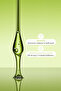 Bergamot Oil 10ml - 3