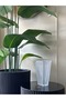 Imported Glass Vase - 3