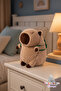 Capybara Plush Toy with a Turtle on Its Back - 30 cm Soft, Washable, Adorable Sleeping Companion - Perfect Gift