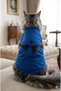 Ataturk Silhouette, Signed Pet Outfit Dress for Our Cats and Dogs