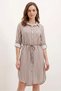 Women's Shirt Collar Belted Striped Viscose Mink Dress