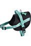 Easy Safe Harness - Lagon Large