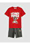 Esvab • Modern & Distinctive Blue Fast Hedgehog Boys' T-Shirt and Shorts - 2