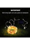 Solar Led 40 Led 10 Metre - 2