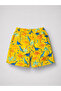 Boys' Colorful Dinosaur Printed Swim Shorts with Zipper Pockets - 2
