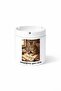 Animal Sokoke Cat Kenya Cat Double Sided Printed Ashtray Ashtray Gift