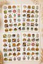 Cute Food Sticker Set 4 Sheets – Food Theme Decorative Stickers, Fun Food Sticker Set 4 Sheets – Cute Food Labels, Journal Planner Notebook Laptop Sticker - 2