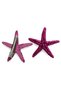 Purple Glitter Star Buckle Sea Star Pliers Sea Star 2 Pieces - 3