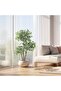 Artificial Trees Edged Banyan Tree 150CM-Realistic Faux Banyan Plant with White-Edged Leaves,Stable Included Planter,Easy Assembly,Zero-Maintenance Decor for Living Room,Bedroom,Office - 6
