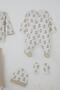 Baby Boy Hospital Release Pack of 8 Cute Baby Teddy Bears Patterned 0-3 Months, Ecru - 4