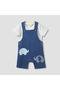 Crew Neck Short Sleeve T-shirt and Dungaree Set with Elephant Applique Detail - 2