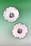 Green Gardening 2-Piece Porcelain Bowl - 2