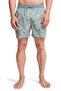 Vacay Layback Volley Men's Swim Shorts Ebyjv00159 - 5