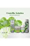 Premium Herbal Centella Facial Care Set – Hydration, Repair, and Radiance - 5
