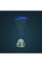 Animal Projector, - 3
