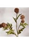 Artificial Pompom Spray 15x15x55cm - Brown - 2