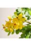 Glaucous Cassia Artificial Tree With Flowers H120cm - Yellow - 2