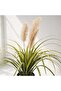 Perennial Potted Onion Grass Bush With Pampas H90cm - Green - 2