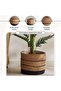 Debora Sea Grass Planter 35x29x29cm - Natural - 5