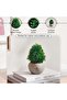 Artificial Multi-layer Grass Potted H17cm - Green - 4