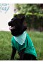 Tshirt | Surfer Dog - 6