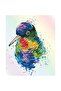 Diamond Dotz Diamond Mosaic Painting Colorful Bird – 22 X 27 cm