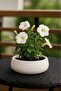 Edl Shop Lümin Modern White Decorative Bowl – Handmade Minimalist Design Edl Shop 1290799 - 2
