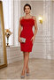 Feathered Bust, Rope Strap, Pencil Evening Dress