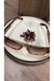 Women's Leopard Patterned Cornered Brown Gradient Glass Stylish Sunglasses - 3