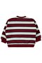 Striped 6-18 Month Sweatshirt - Burgundy - 2