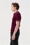 Stripe Detailed Polo Collar Burgundy Knitwear T-Shirt - 3