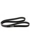 Curea Poly-V Continental 8PK1715 - 2