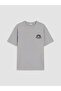 Lcw Kids Gray Printed Boy's T-Shirt - 5