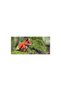 Puzzle 3D Vulpe - 3