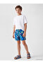 Alita City Sonic Printed Boys' Swimsuit with a Difference