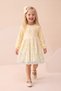 Girl's Dress with Tulle and Embroidery Detail