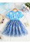 Girls Mesh Tulle Snowflake Print Dress