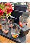 Set of 4 Transparent Double-Walled Feathered Borosilicate Glass Cups 350 ml - Heat-Resistant Large Size Coffee, Tea, and Soft Drink Cup - 3