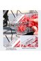Transparent chain cleaning tool. - 2