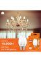 شمعة LED بقوة 5 واط طراز C37 E14 - عبوة من 6 قطع، 6500 كلفن ضوء نهاري - موفرة للطاقة تعادل 35 واط، إضاءة غير قابلة للتعتيم - 4